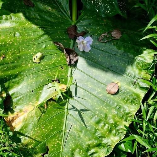 Photo #13603364