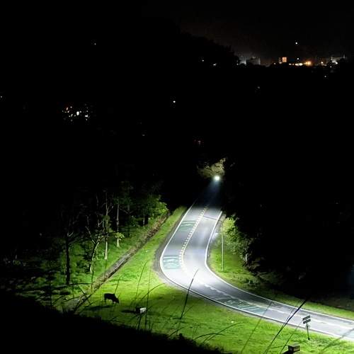 Photo #13603388