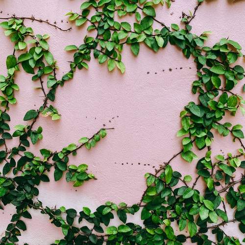 Photo #13603481