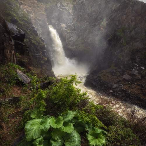 Photo #13603505