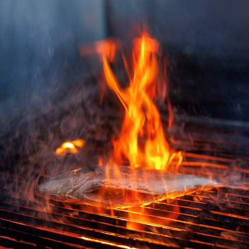 Photo #13603628
