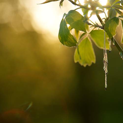 Photo #13603730