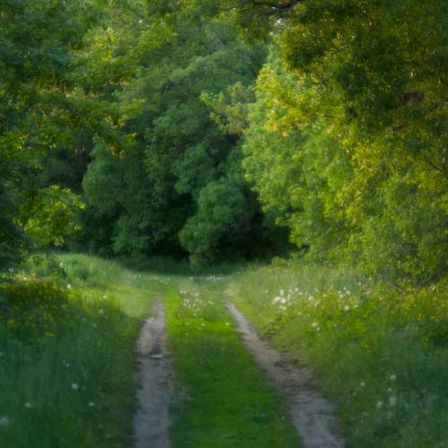 Photo #13603741