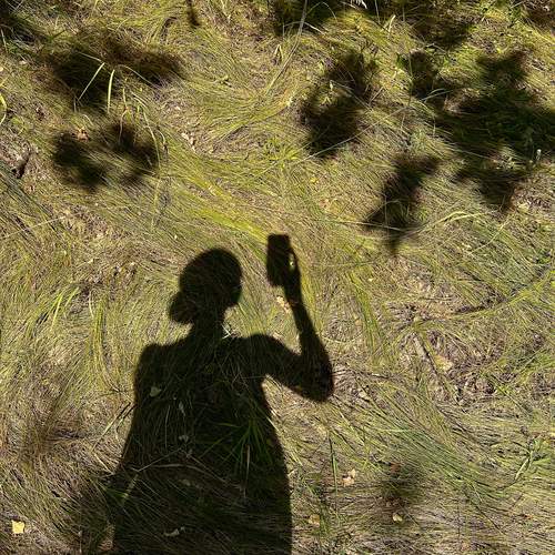 Photo #13603794