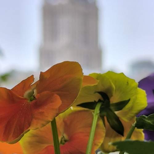 Photo #13603810