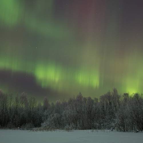Photo #13603829