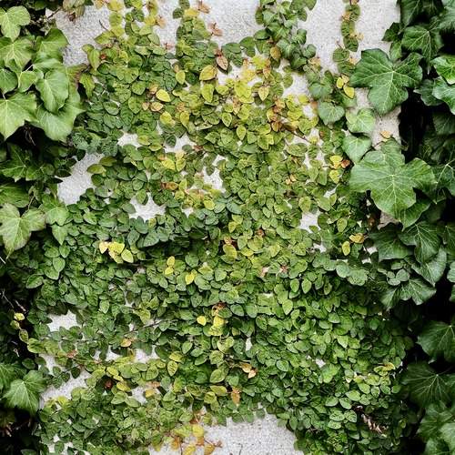 Photo #13603924
