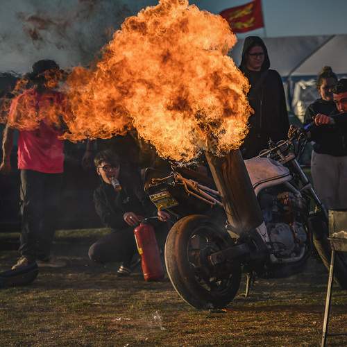 Photo #13603930