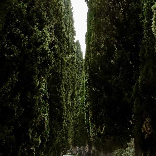 Photo #13603933