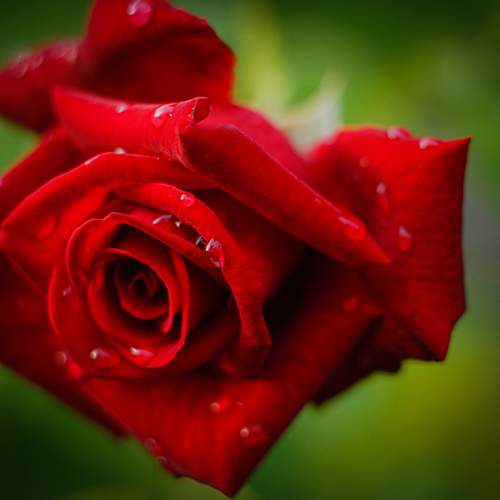 Photo #13603979