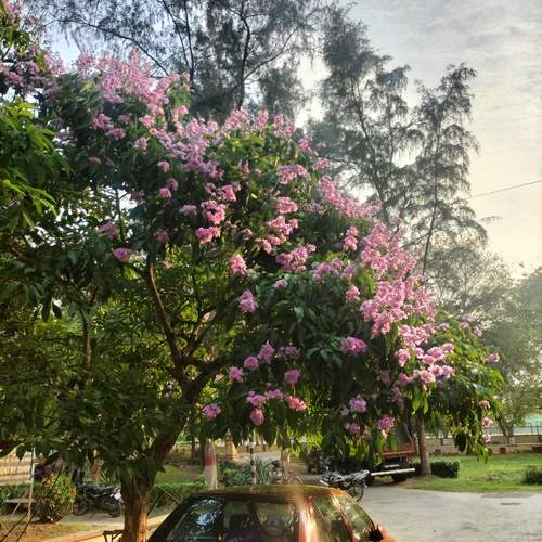 Photo #13603984