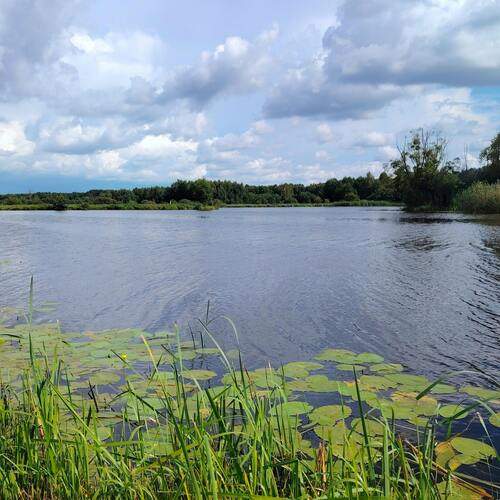 Photo #13604000