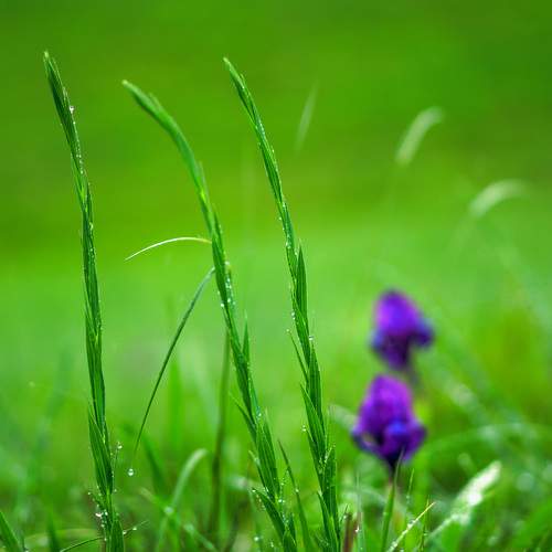 Photo #13604006