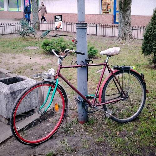Photo #13604011