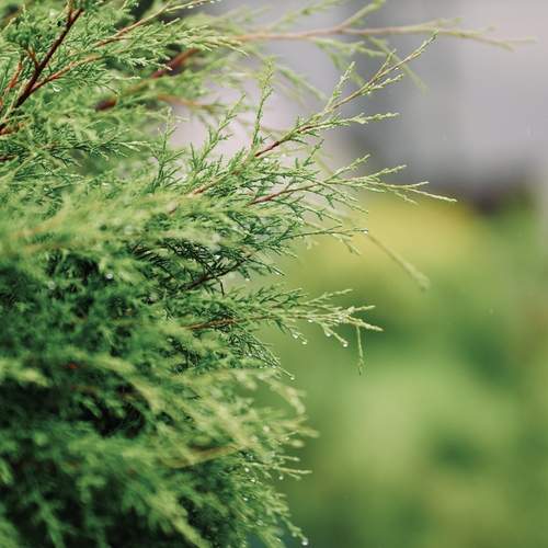 Photo #13604079