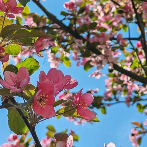 Photo #13604084