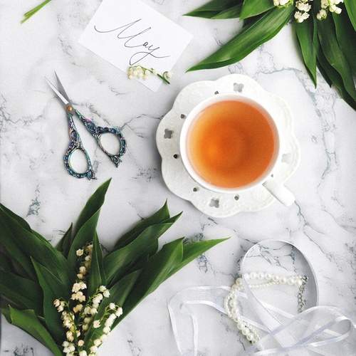Photo #13604102