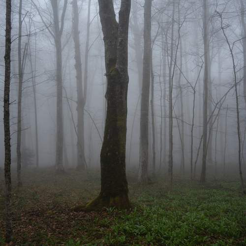 Photo #13604112