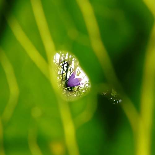 Photo #13604124