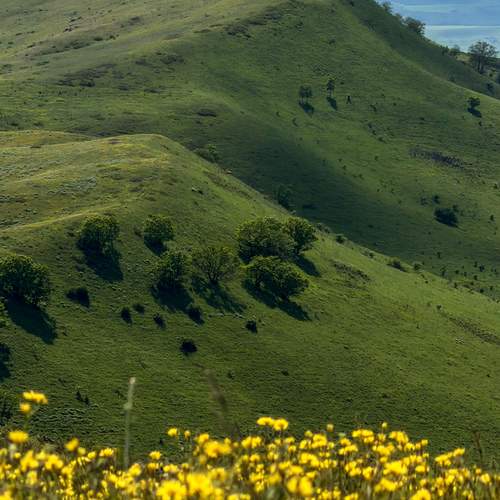 Photo #13604126