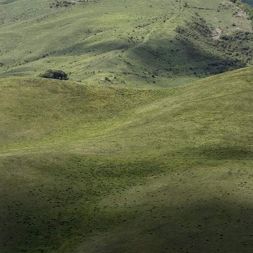 Photo #13604127