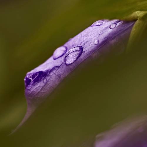 Photo #13604134