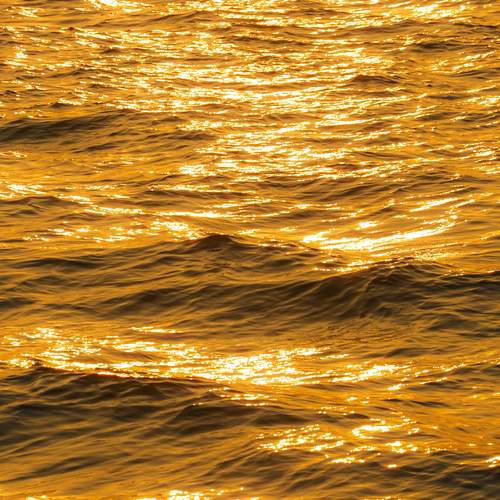 Photo #13604337