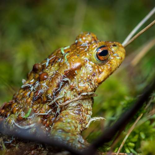 Photo #13604343