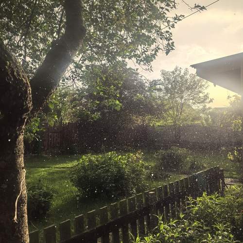 Photo #13604344