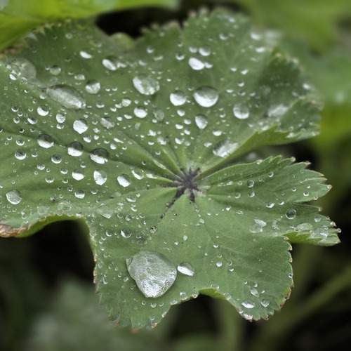 Photo #13604372