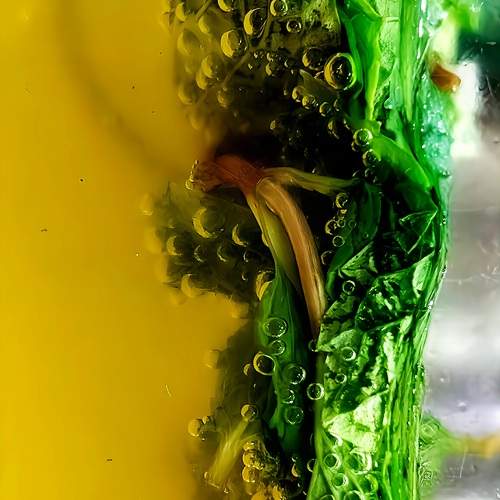Photo #13604403