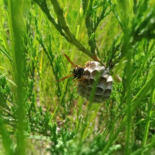 Photo #13604471