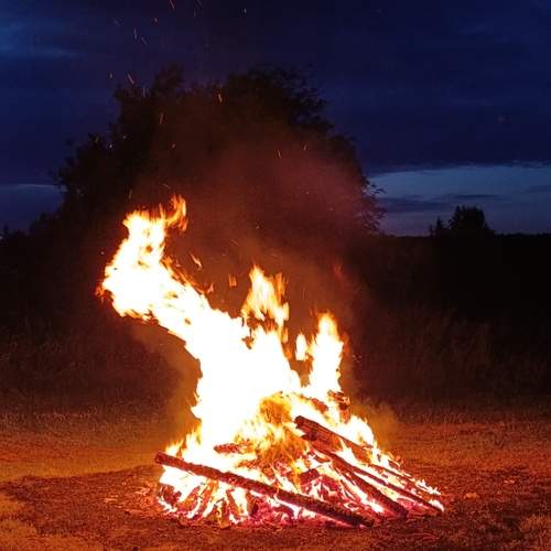 Photo #13604475