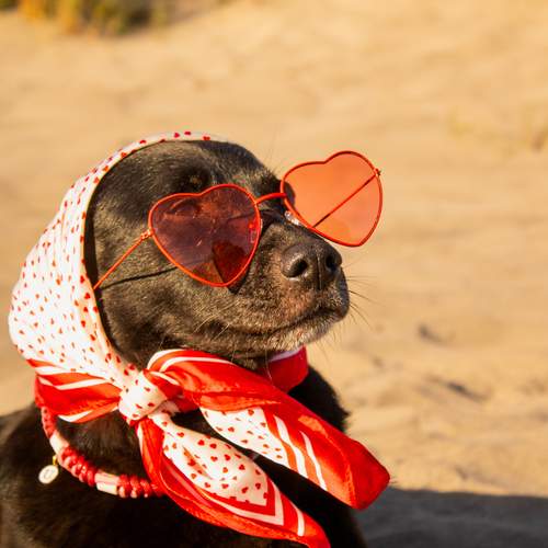 Enjoying life