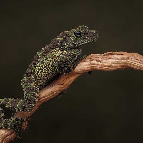 Photo #13604492