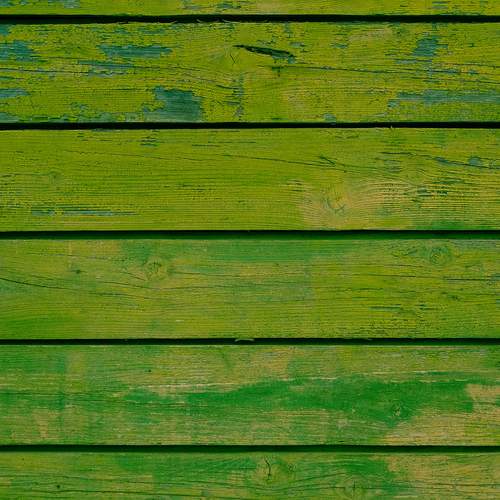 Photo #13604525