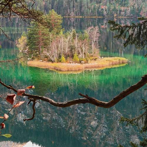 Photo #13604529