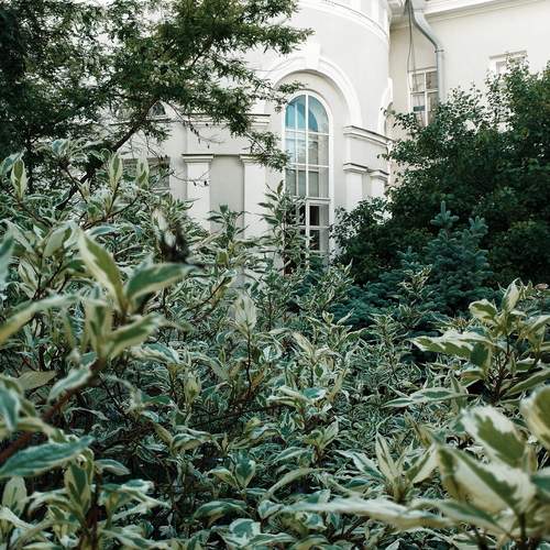 Photo #13604549
