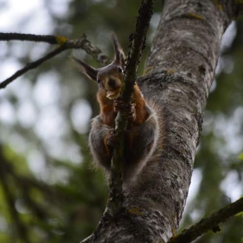 Photo #13604646