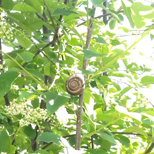 Photo #13604663