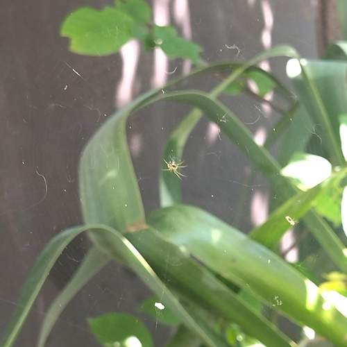 Photo #13604665