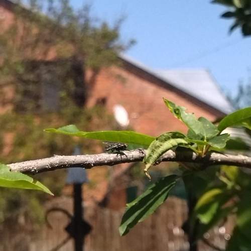 Photo #13604669