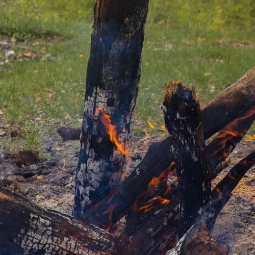 Photo #13604686
