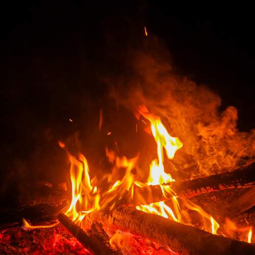 Photo #13604690