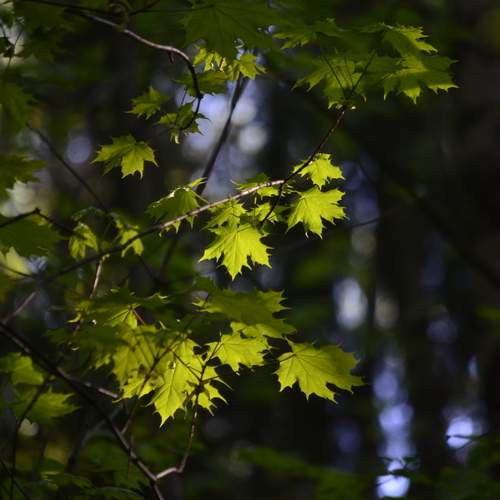 Photo #13604698