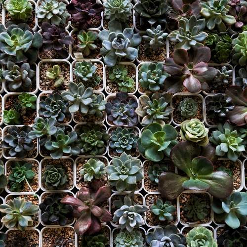 Photo #13604707