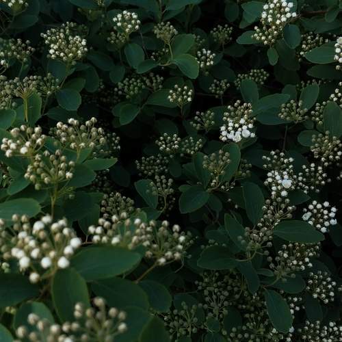 Photo #13604754