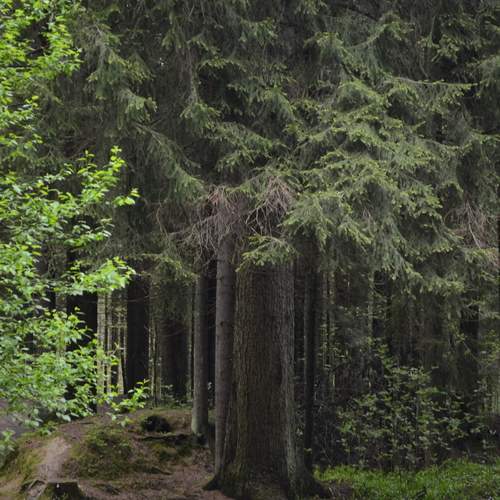 Photo #13604768