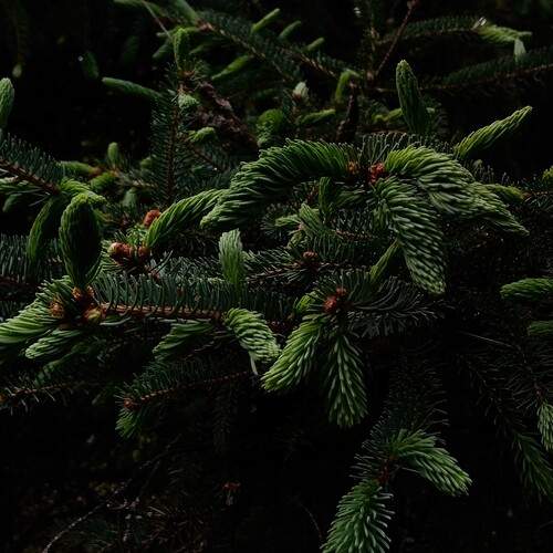 Photo #13604770