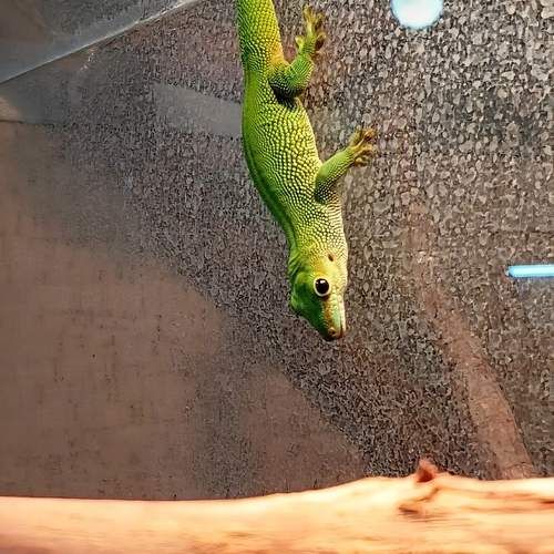 Photo #13604792